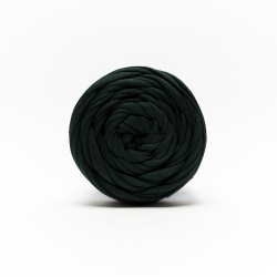 Ruban de sac mode vert 108-2