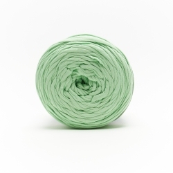 Ruban de sac mode vert 120-2