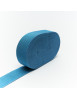 Canetè Ribbon 25 mm Light Teal 119