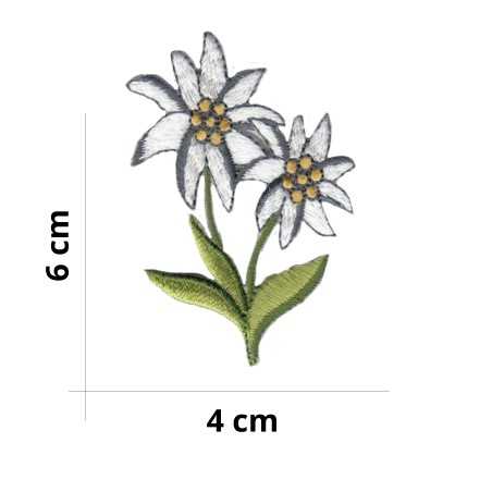 Applicazione Stella Alpina