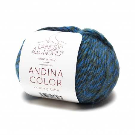 Andina Color par Laines Du...