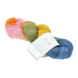 Dolly - Pure Merino wool yarn ideal for mid-seasons